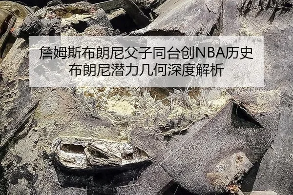 詹姆斯布朗尼父子同台创NBA历史 布朗尼潜力几何深度解析
